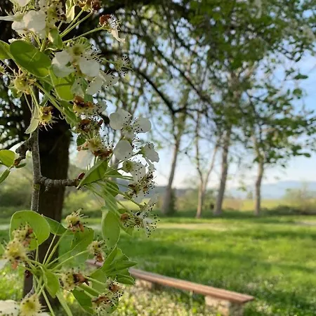 Ermones Little House Vátos